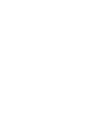 automotivo